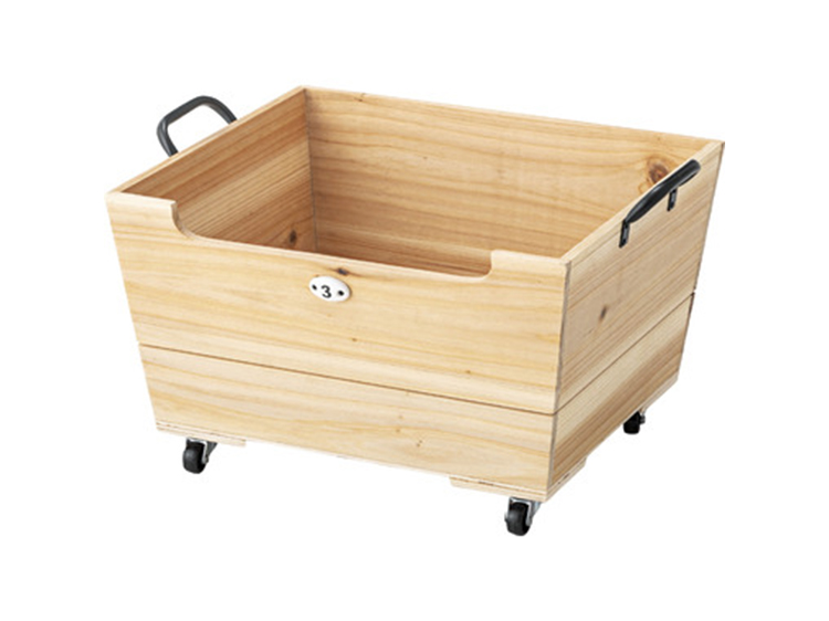 Storage Box with casters (Used)