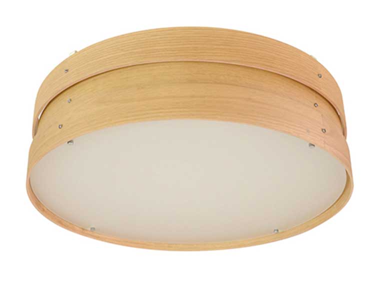 Ceiling Lamp (Used)