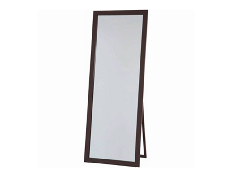 Standing Mirror (Used)