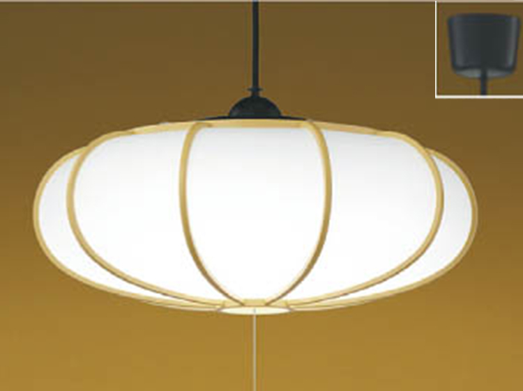 Pendant Lamp (Used)