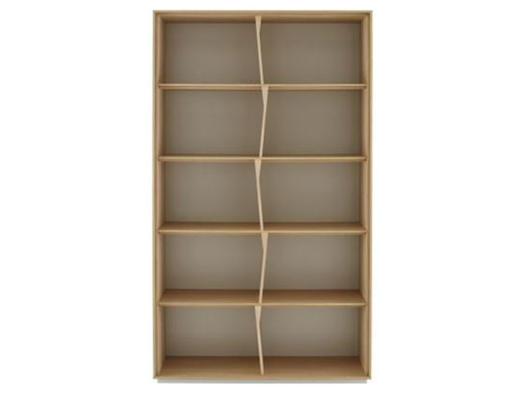 Shelf (Used)　
