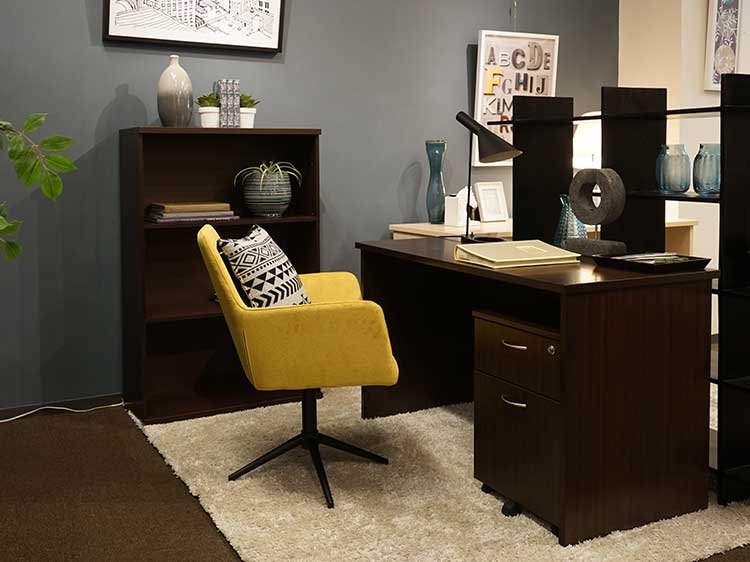 Desk and File Cabinet Set (Used)