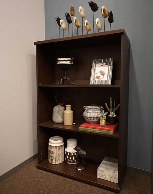Book Shelf (Used)
