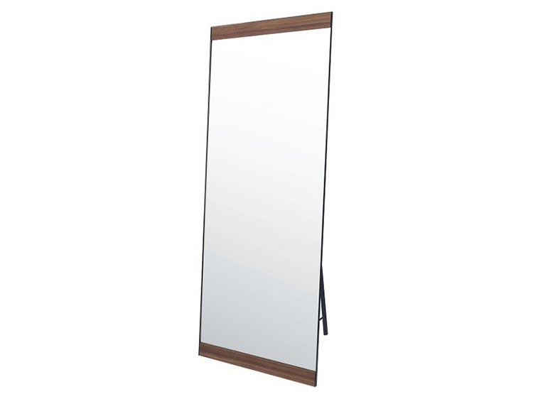Standing Mirror (Used)
