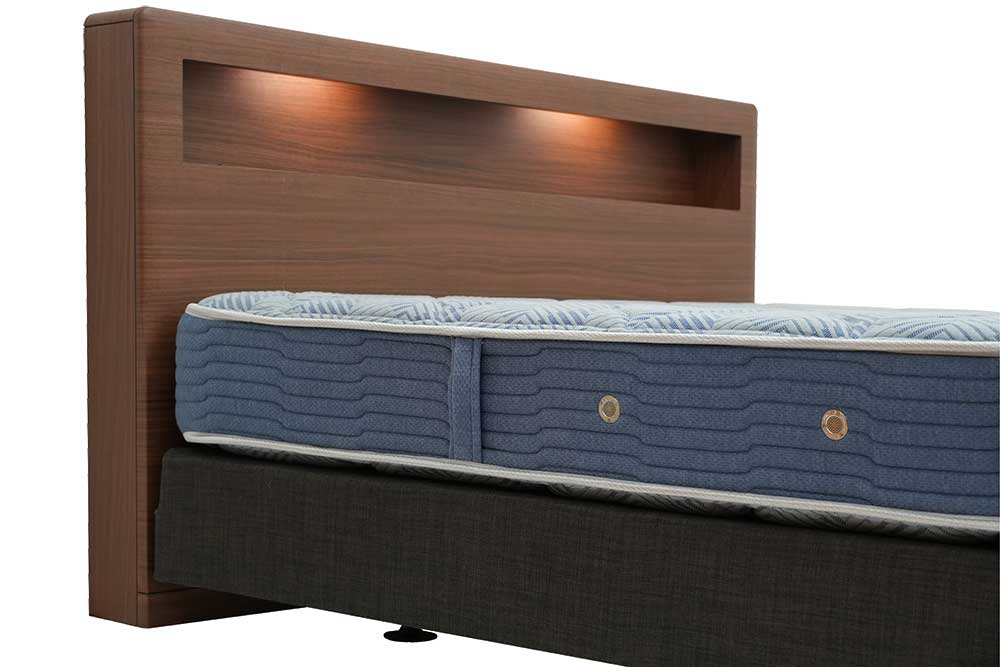 Queen-Size Headboard (Used)