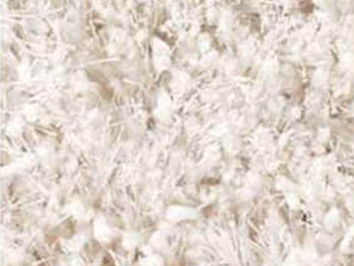 Rug (Used)