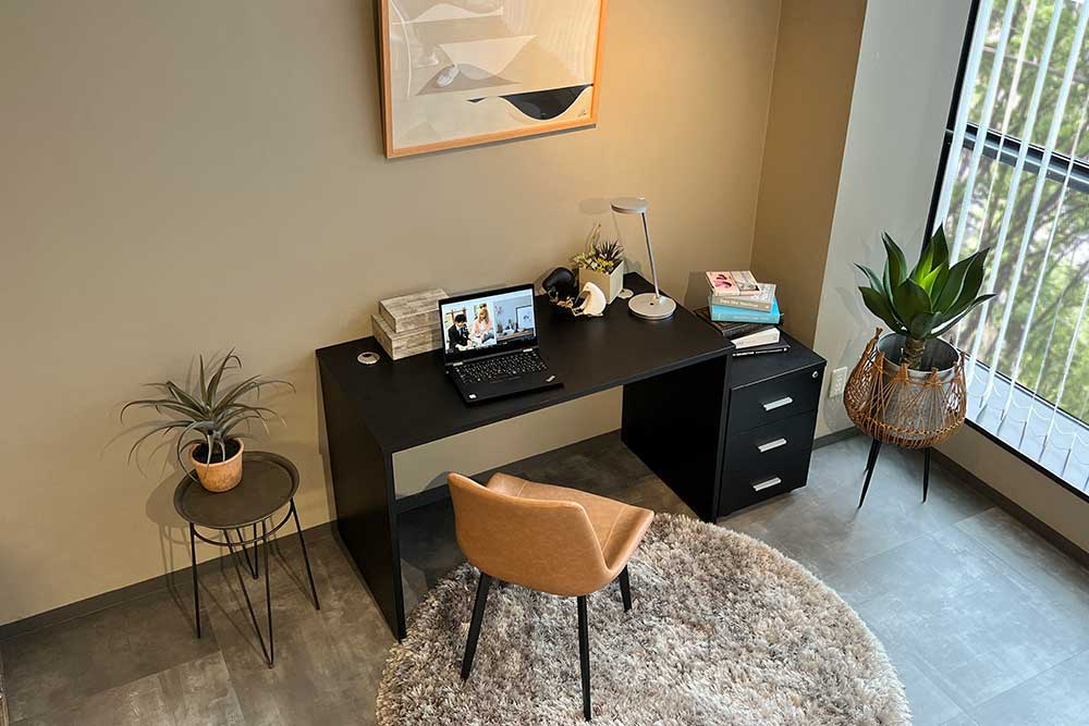 Desk and File Cabinet Set (New)