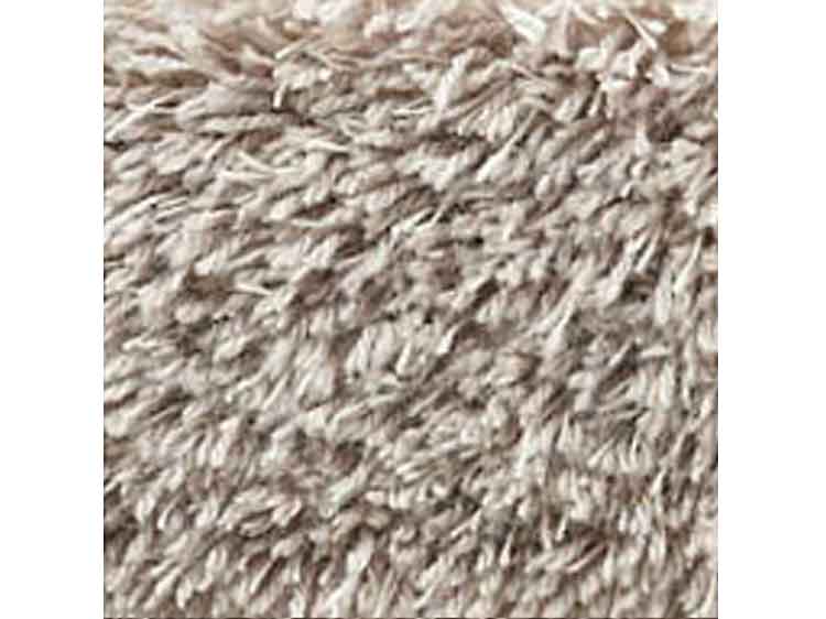 Rug (Used)