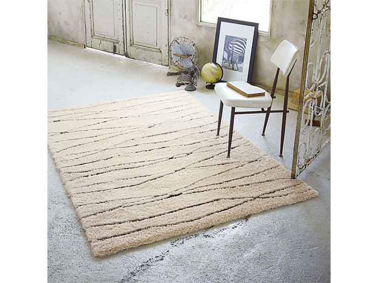 Rug (Used)