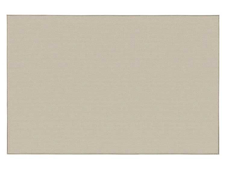 Rug (Used)